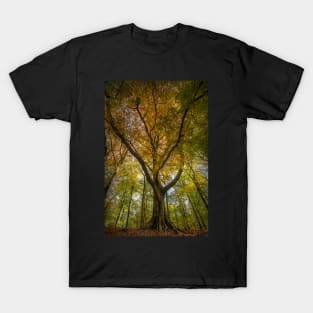 Beech Trees T-Shirt